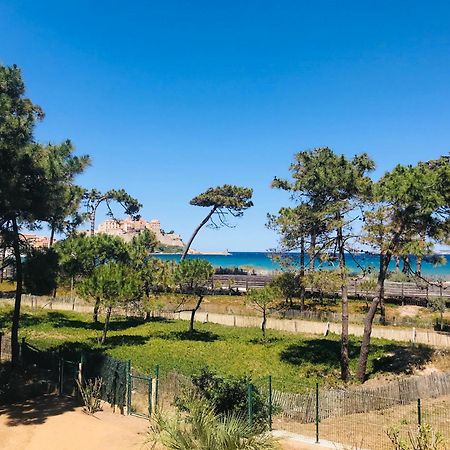 Appartement Les Carolines Calvi 외부 사진
